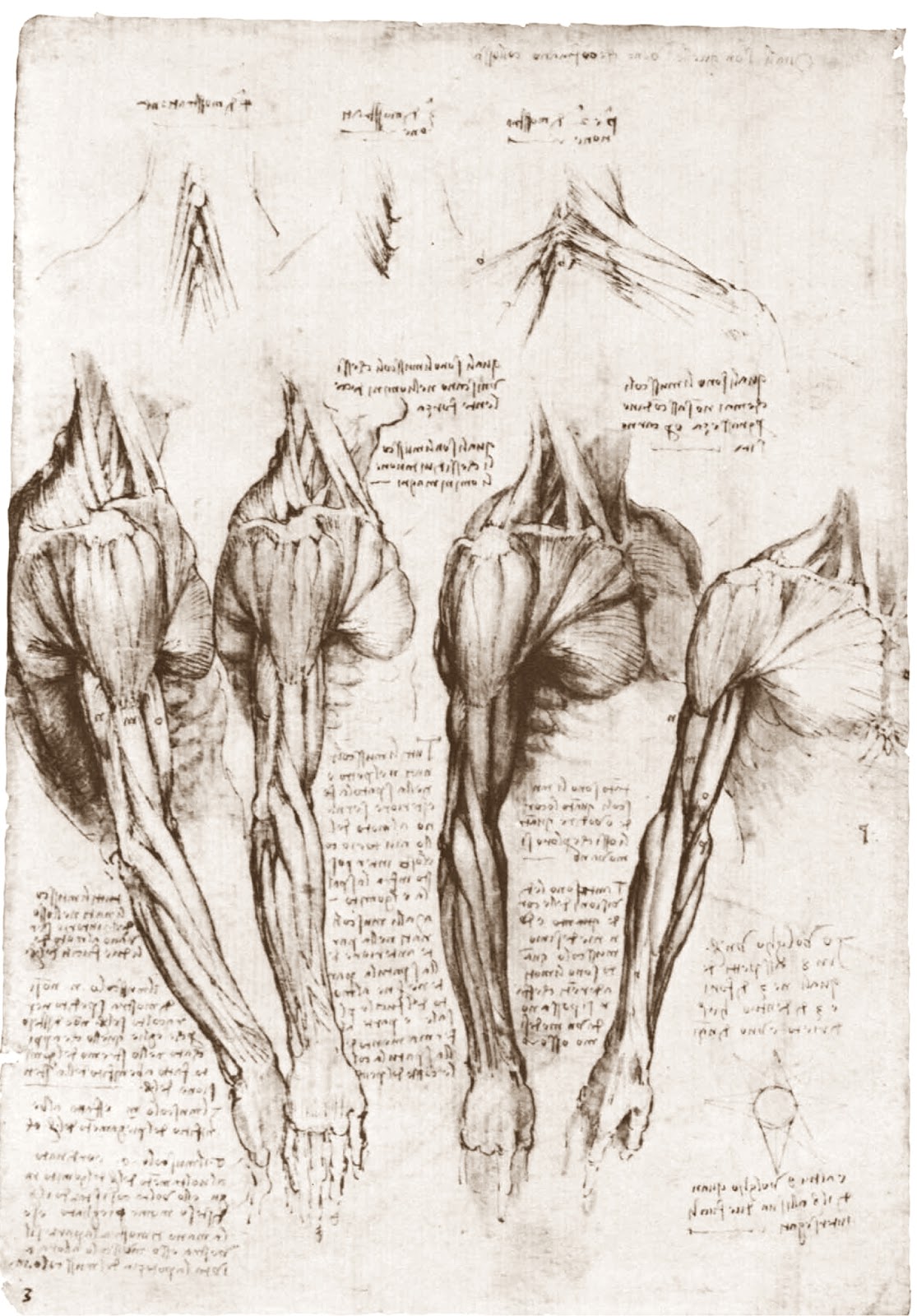 Leonardo+da+Vinci-1452-1519 (791).jpg